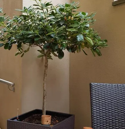Ferienwohnung Unterhubers Gasthuis