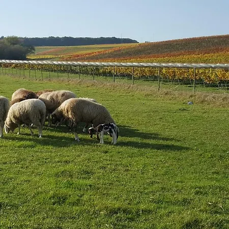 Ferienwohnung Unterhubers